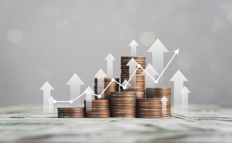 برنامج الإدارة المالية
